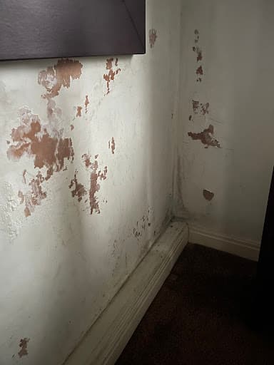 Signature Plastering York — Customer photo