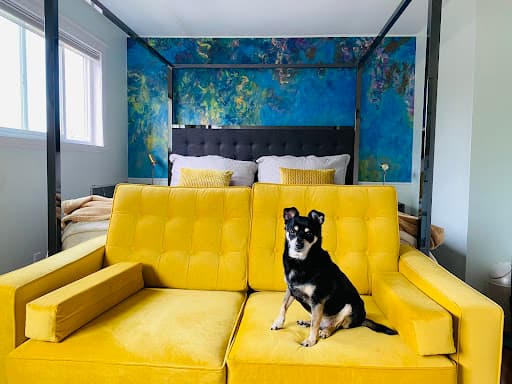 Hovia — Customer photo